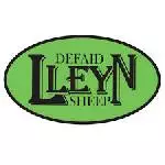 welsh llyen
