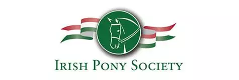 irish-pony-1