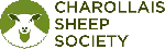 Charolais