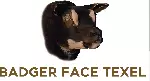 Dassenkop.PNG